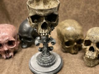 Real Human Skull Display Stand / Skeleton Vintage Medical Real Halloween