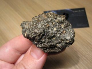 Nwa 11533,  Carbonaceous Chondrite - Cv3 (oxid.  Sub - Group) - The 53.  95g Main Mass