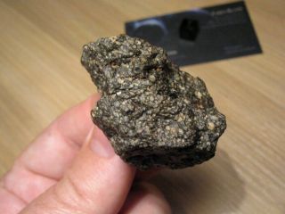 NWA 11533,  Carbonaceous Chondrite - CV3 (Oxid.  sub - group) - The 53.  95g Main Mass 3