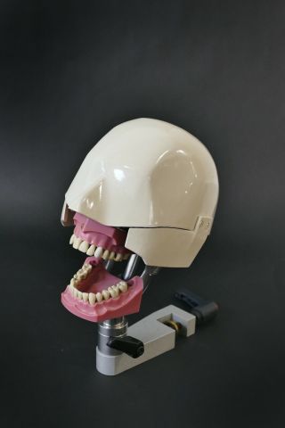 Dental Phantom Dental Manikin Aluminum Dental Head Columbia Dentoform