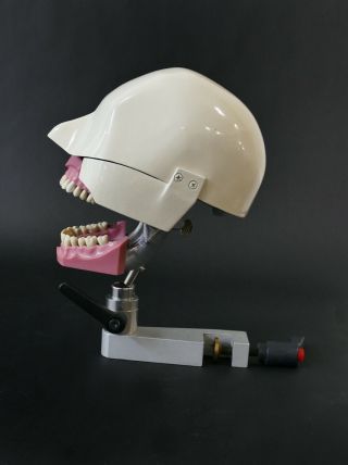 Dental Phantom Dental Manikin Aluminum dental head Columbia Dentoform 2