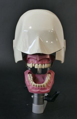 Dental Phantom Dental Manikin Aluminum dental head Columbia Dentoform 3
