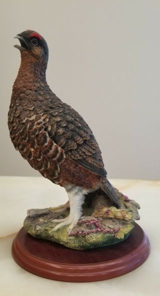 Border Fine Arts Red Grouse Game Bird