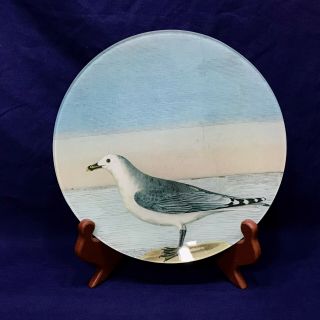 John Derian’s “by The Sea (gulls) ” Plate 8 1/4 Diameter Signed