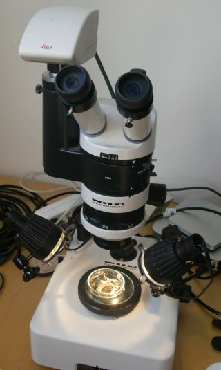 Wild Heerbrugg M5a Stereo - Microscope Without Camera (see Specs Below)