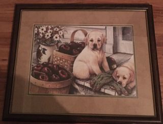 Home & Garden Party Puppies Dogs Apples Wall Basket Hanging Picture Wood Frame