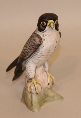 Goebel Bird Figurine Peregrine Falcon 38 043 - 16 Tmk - 6