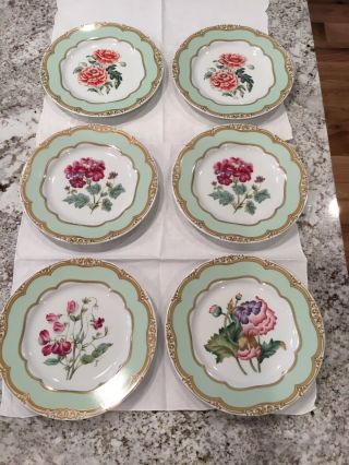 Set Of 6 Andrea By Sadek Plate Winterthur Adaption Flower Dinner Plates 8 1/4” C