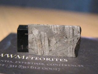 Iron Meteorite (Siderite) NWA 10417 - Octahedrite IAB - MG 2