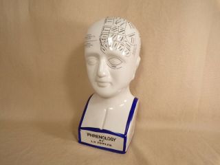 Phrenology Head Bust 8 " Scientific Study Porcelain L.  N.  Fowler Vintage