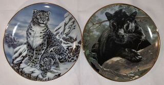 Franklin Set Of 2 Collector’s Plates Snow Leopard And Black Panther Cats