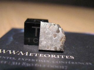 Meteorite Mont Dieu (france) - Ungrouped Iron With Inclusion