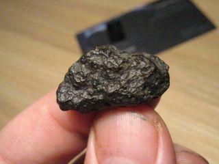 Meteorite Nwa 11541 - Carbonaceous Chondrite Type Cv3 - Individual