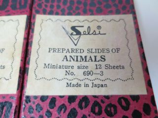 Vintage Set Selsi Made In Japan Prepared Slides Of Insects & Animals In Boxes