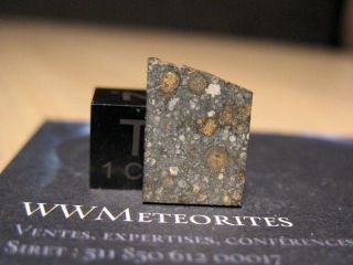 Meteorite NWA 11543 - Carbonaceous Chondrite type CV3 - contrasted matrix 2