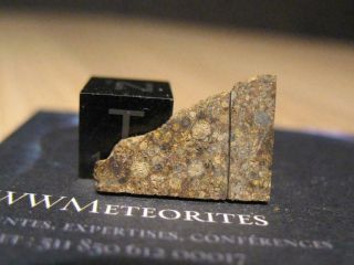 Meteorite Nwa 11534 - Chondrite Ll3 (closely Packed,  Well - Defined Chondrules)