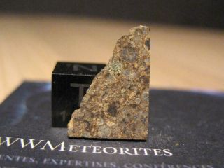 Meteorite NWA 11534 - Chondrite LL3 (closely packed,  well - defined chondrules) 2