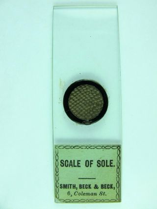 Antique Microscope Slide By Smith,  Beck & Beck.  " Scale Of Sole ".