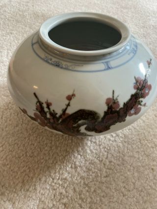 Vintage Korean Porcelain Decorative Vase - Decorated W/Cherry Blossoms.  Beauty 3