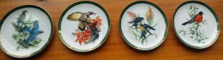 The Songbirds Of Roger Tory Peterson 8 Plate Set The Danbury 1990