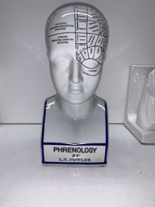 Minnesota Science Museum Ceramic Phrenology Head By L.  N.  Fowler