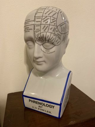 Phrenology Porcelain Bust Head By L.  N.  Fowler 11.  5 "