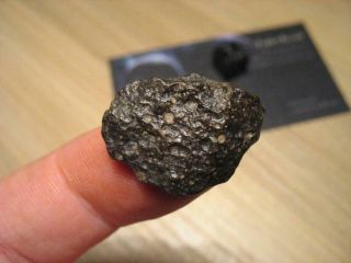 Meteorite Nwa 11541 - Carbonaceous Chondrite Type Cv3