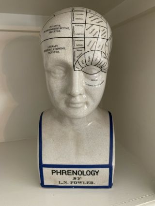 Phrenology Porcelain Bust Head By L.  N.  Fowler 12 "