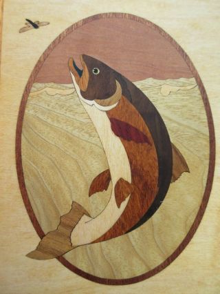 Vintage Hudson River Inlay TROUT Exotic Woods Art Picture Marquetry 6.  75 x 9.  75 2