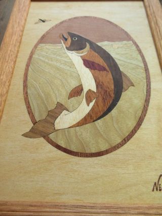 Vintage Hudson River Inlay TROUT Exotic Woods Art Picture Marquetry 6.  75 x 9.  75 3