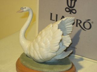 Lladro Swan Retired Figurine With Base And Box