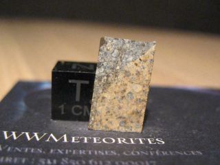 Meteorite Nwa 11234 - Chondrite Ll3 - Fresh And Nicely Brecciated