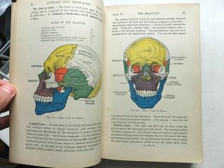 1935 Textbook Of Anatomy And Physiology.  Kimber/gray/stackpole.  640 Pages.