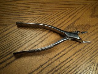Vintage Sklar Stainless Dental Extractor Pliers Tool No.  65 - 7 - 1/2 " Usa Hobby