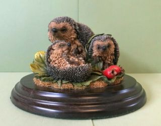 Lovely Delicate Country Artist Figurine With Three Hedgehogs Very Detailed 1996