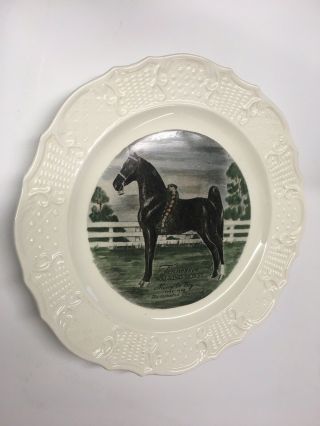 Vintage Merry Go Boy 1943 - 48 Undefeated Champion - Tennessee Walking Horse - Plate