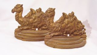 Cast Iron Seated Dromedary Camel Bookends 1153 Bronze/brass Finish