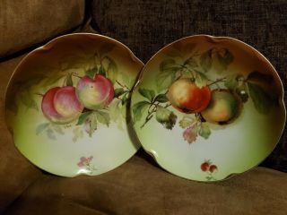 J&c Louise Bavaria Hand Painted 8.  5 “ Plate Fruit Vintage Apples/peaches Set/2