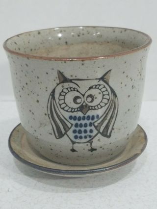 Vintage Small Art Pottery Planter Flower Pot W/tray Forest Owl Made In Japan 3 "