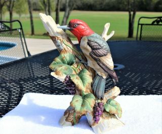 Vintage Andrea By Sadek Redheaded Woodpecker Bird Porcelain Figurine Statue