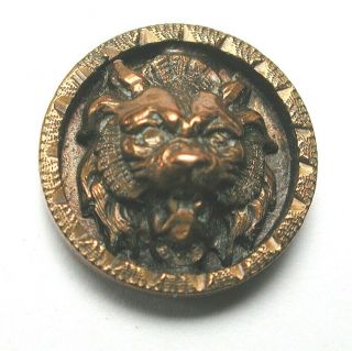 Antique Brass Cup Button W Lion Face Escutcheon 1/2 " 1890s