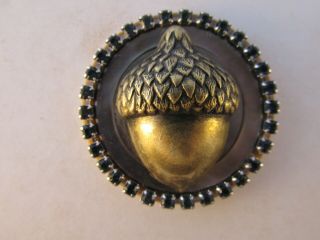 Vegetable Ivory Studio Button: Brass Acorn With Mop And Rhinestones