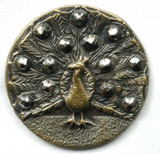 Antique Stamped Brass Button Peacock W Tail Up & Cut Steels - 11/16 "