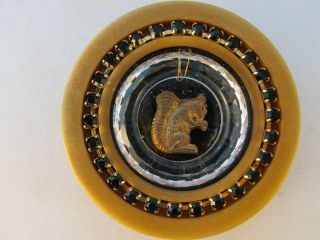 Vegetable Ivory Studio Button - Movable Swarovski Ring With Brass Squirrel