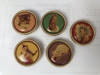 Set Of 5 Cat Nony York Button Covers