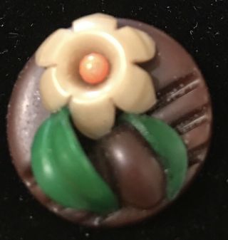 Vintage Marion Weeber Type Celluloid Floral Button 3