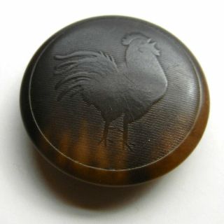 Antique Vegetable Ivory Pressed Picture Button Rooster 1 - 1/8”
