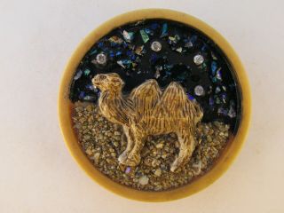 Vegetable Ivory Studio Buttons - Camel With Sand And Stars