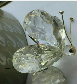 Swarovski Silver Crystal Large 2 " H Butterfly On Base 7639 055 Swan Boxed