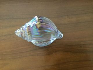 Vintage Conch Seashell Shell Art Glass Paperweight Iridescent White 5 " Long